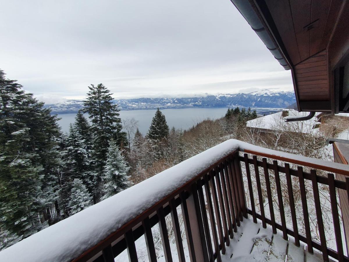 Chalet Chalon *